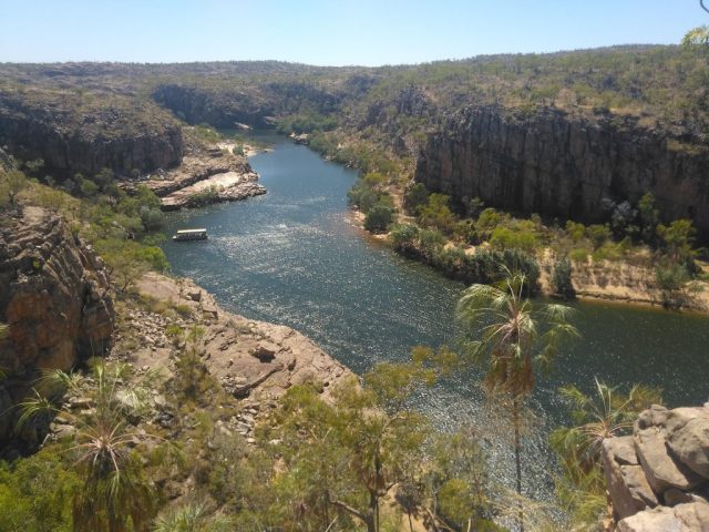 View from Pat's Lookout View from Pat's Lookout