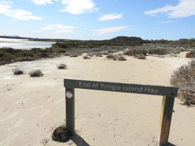 The Yangie Island Hike is a one-way trail The Yangie Island Hike is a one-way trail