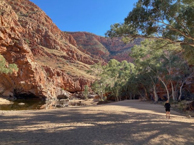 CC at the waterhole CC at the waterhole