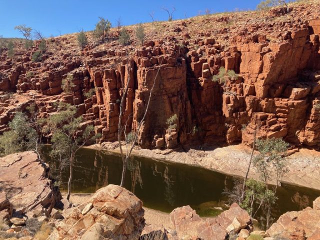 Ghost Gum Walk goes along the top of the gorge cliffs Ghost Gum Walk goes along the top of the gorge cliffs