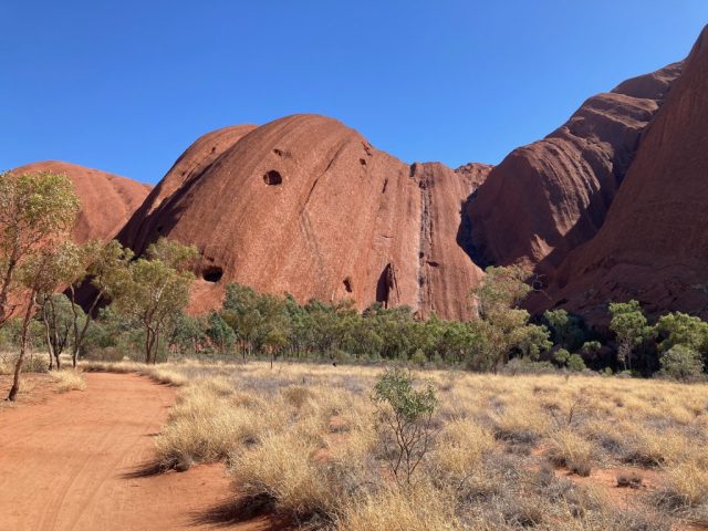 Trail with greenery around Uluru Trail with greenery around Uluru