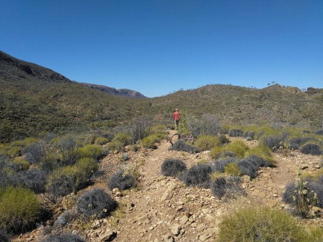 PB on the Ellery Creek Loop Walk PB on the Ellery Creek Loop Walk