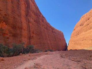 In Walpa Gorge