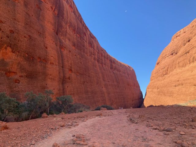 In Walpa Gorge