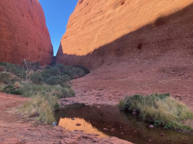 Waterhole in Walpa Gorge