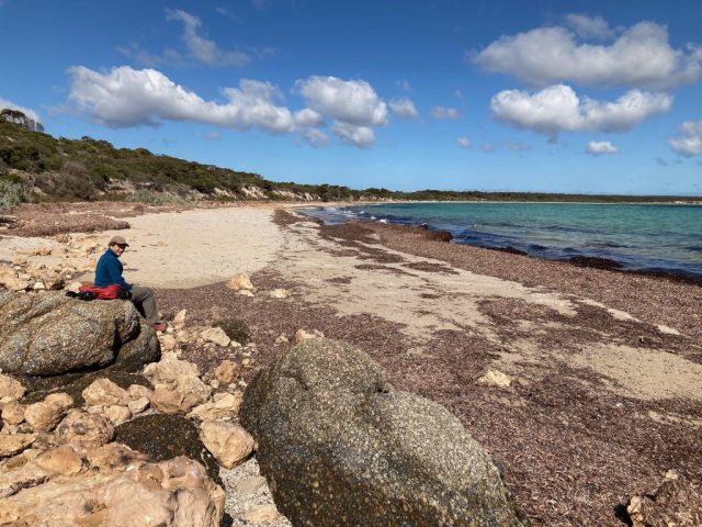 CC is ready for lunch on Woodcutters Beach CC is ready for lunch on Woodcutters Beach