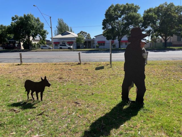 PB hiding in Tintinara (85km past Bordertown) PB hiding in Tintinara (85km past Bordertown)