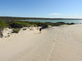 PB back on the sand dunes