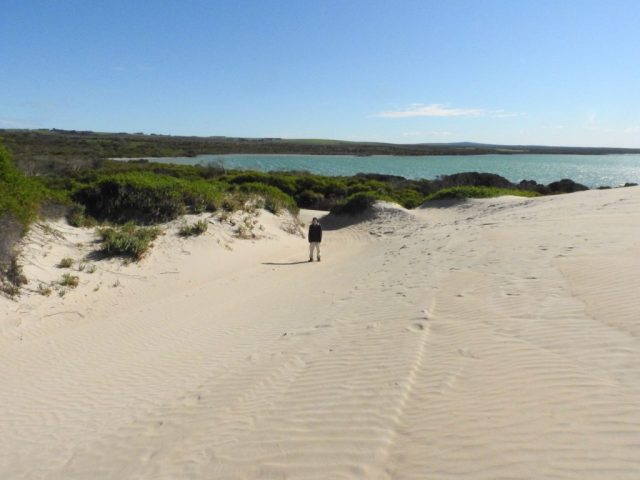 PB back on the sand dunes