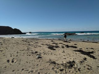 PB on the beach