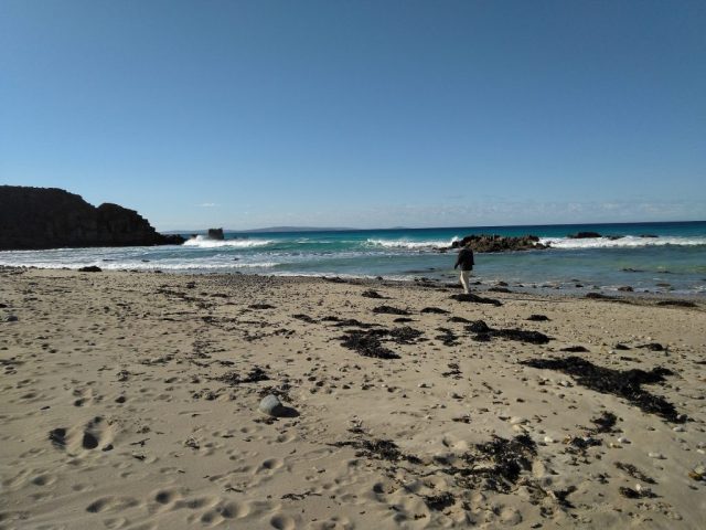 PB on the beach