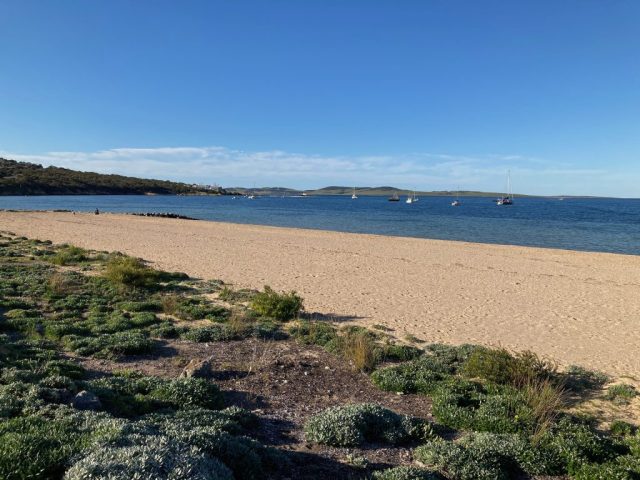 On the Parnkalla Trail - Mundy's Mooring Reserve