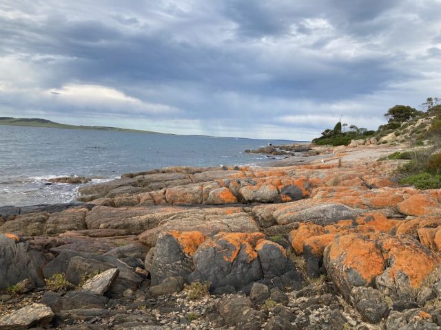 On the Parnkalla Trail - Near Shelly Beach