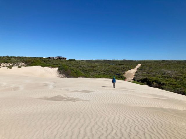 CC on the edge of the sand dunes