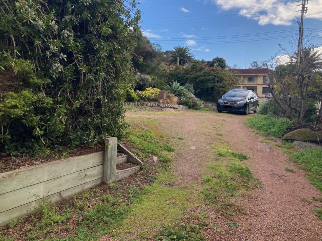 Parked at the far end of the overgrown driveway