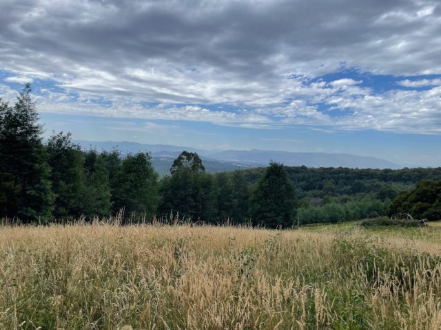 View from the RJ Hamer Arboretum