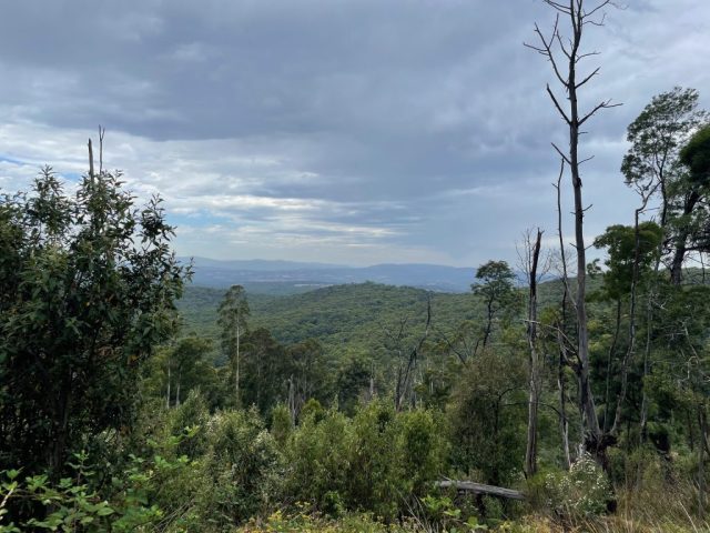 View from Mathias Road