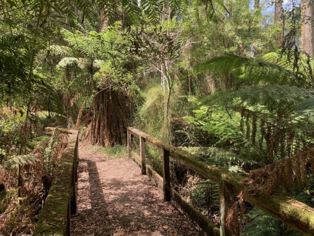 Bridge on the Sherbrooke Loop