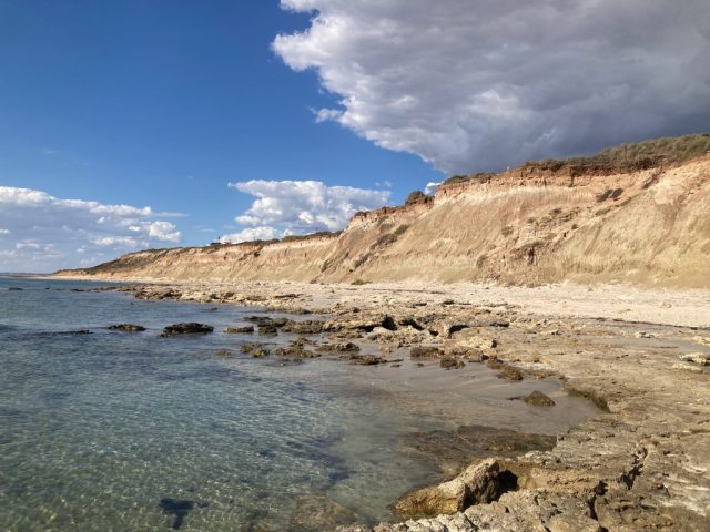 Low tide at Snapper Point