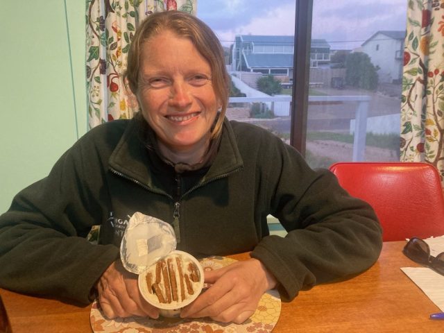 CC with 'homemade' chobani and biscoff 'cheesecake' CC with 'homemade' chobani and biscoff 'cheesecake'